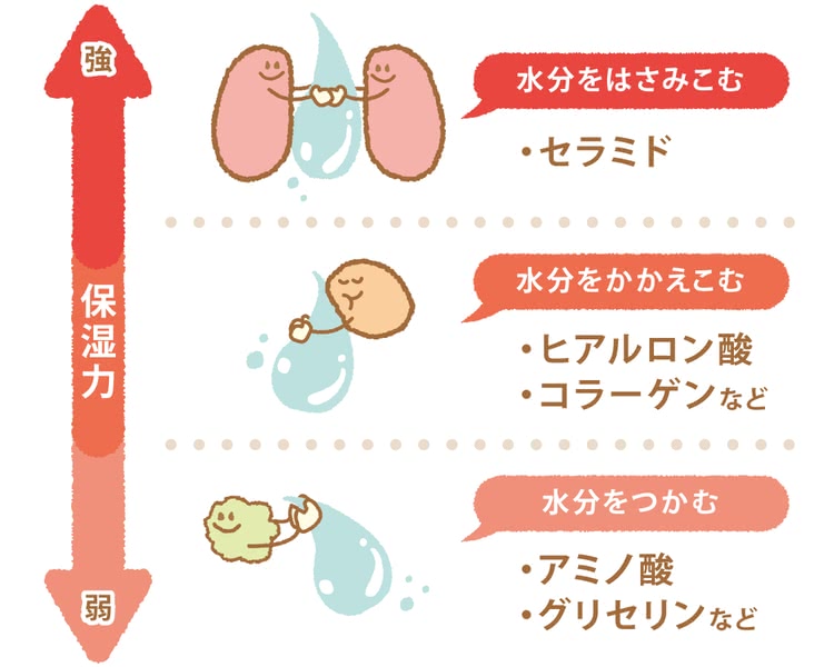 メンズの化粧水でチェックしたいおすすめの保湿成分