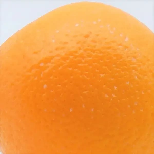 検証後のオレンジ