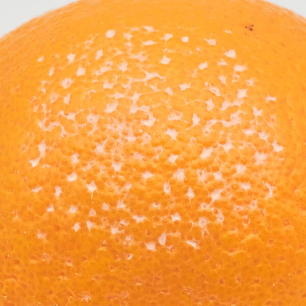 検証後のオレンジ