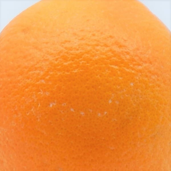 クレンジング後のオレンジ