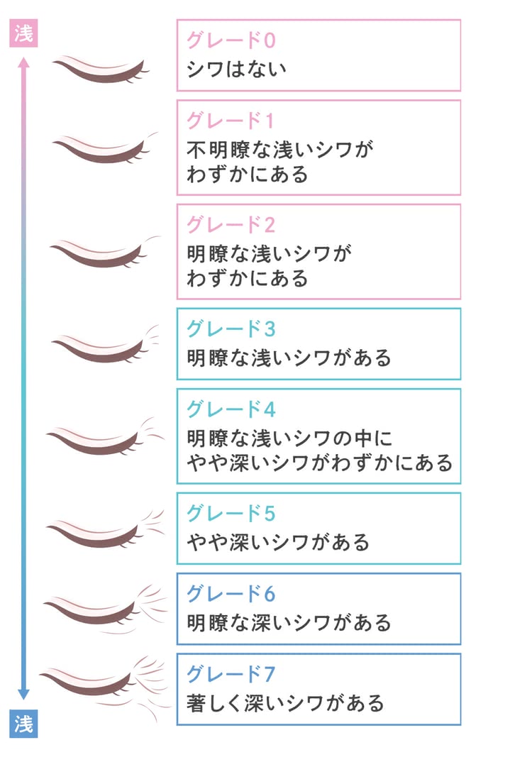 日本香粧品学会の新規効能取得のための抗シワ製品評価ガイドラインによるシワグレード0～7の指標